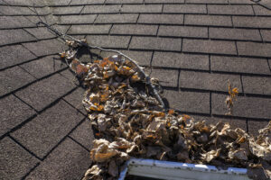 A roof with full gutters that needs to be cleaned out